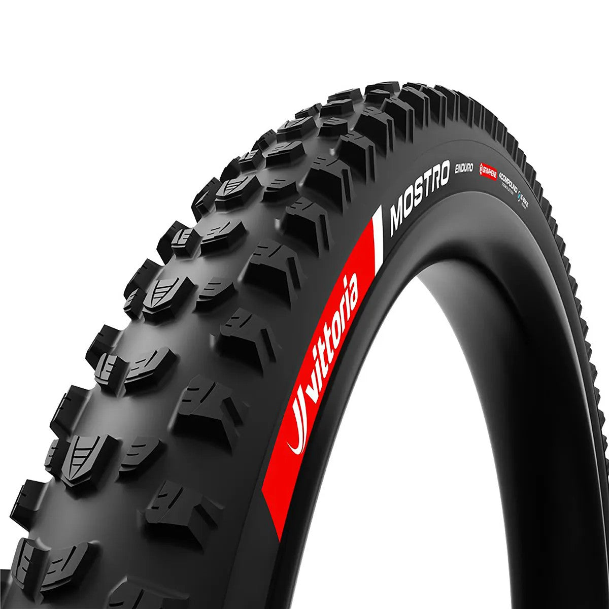11A00566_MOSTRO_ENDURO_01
