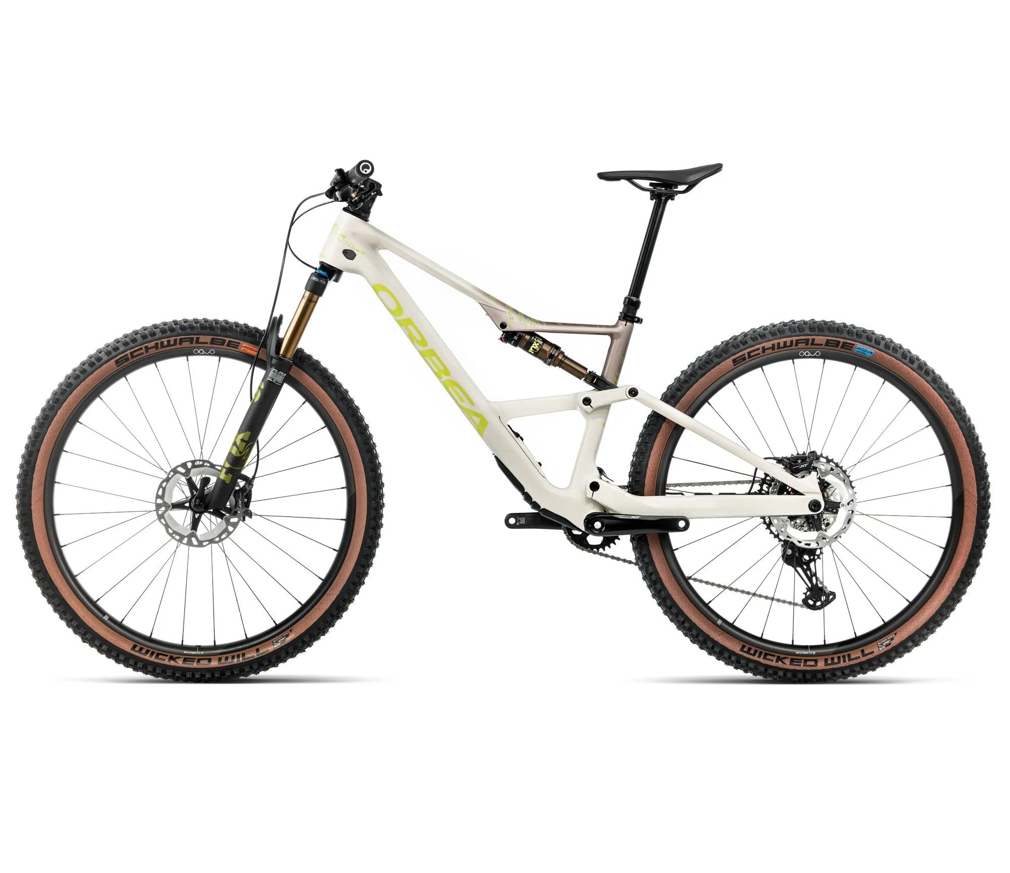 T241TTCC-M4-SIDE2-OCCAM_SL_M10