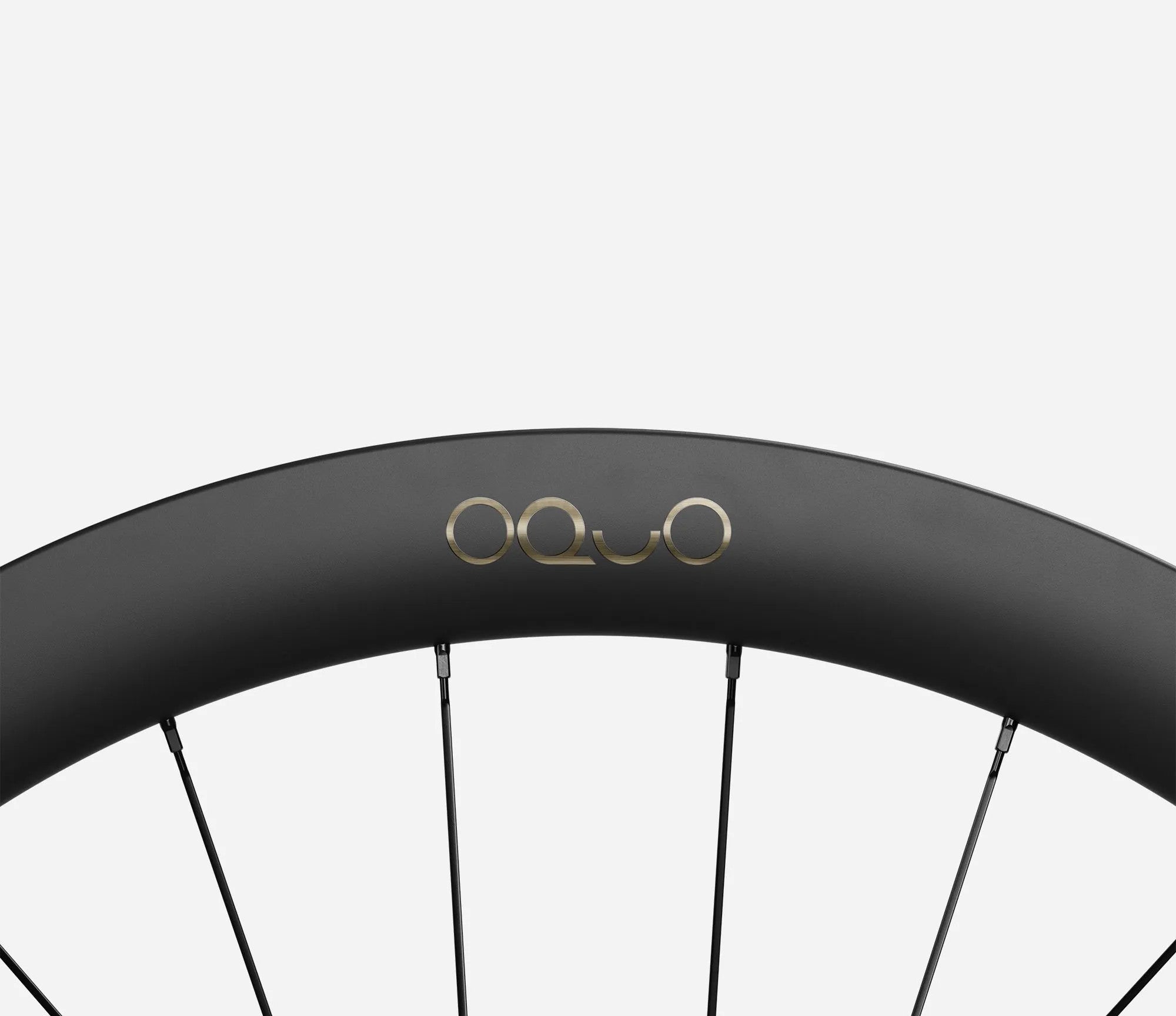 back-oquo-rp50ltd