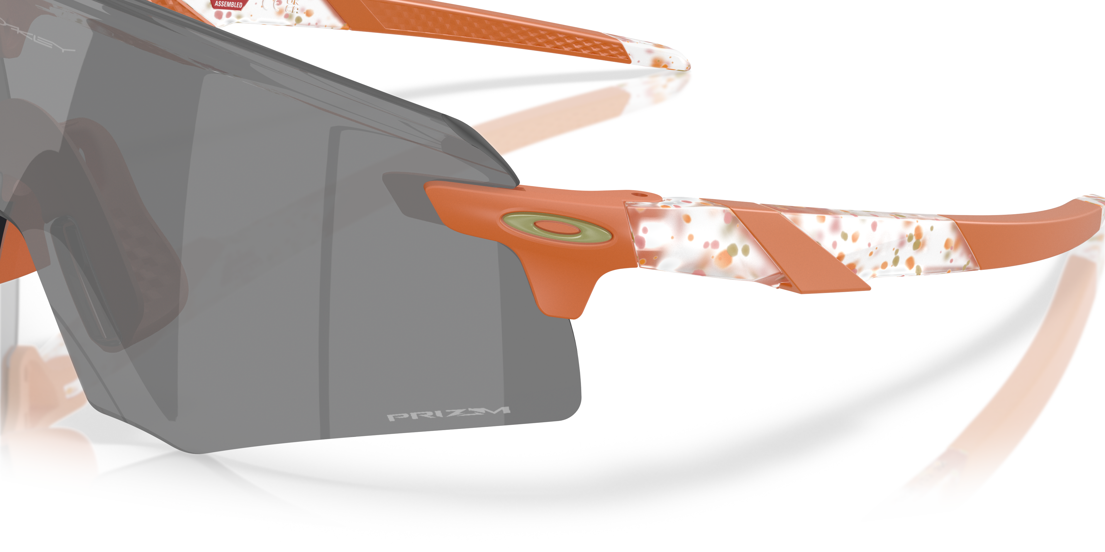 Encoder Gafas de Sol Oakley Terrazzo Transparente Mate Lente Prizm Negro #5