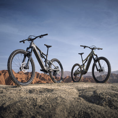 Amflow PR Carbon EU 800Wh Battery Mullet Verde Musgo #8