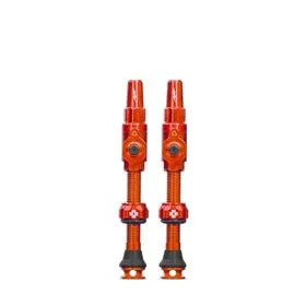725489_t