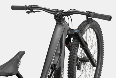 Cannondale Bad Habit 1 2026 Raw #3