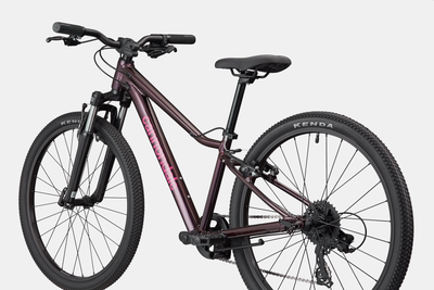 Cannondale Kids Trail 24 2026 Royal Purple #6