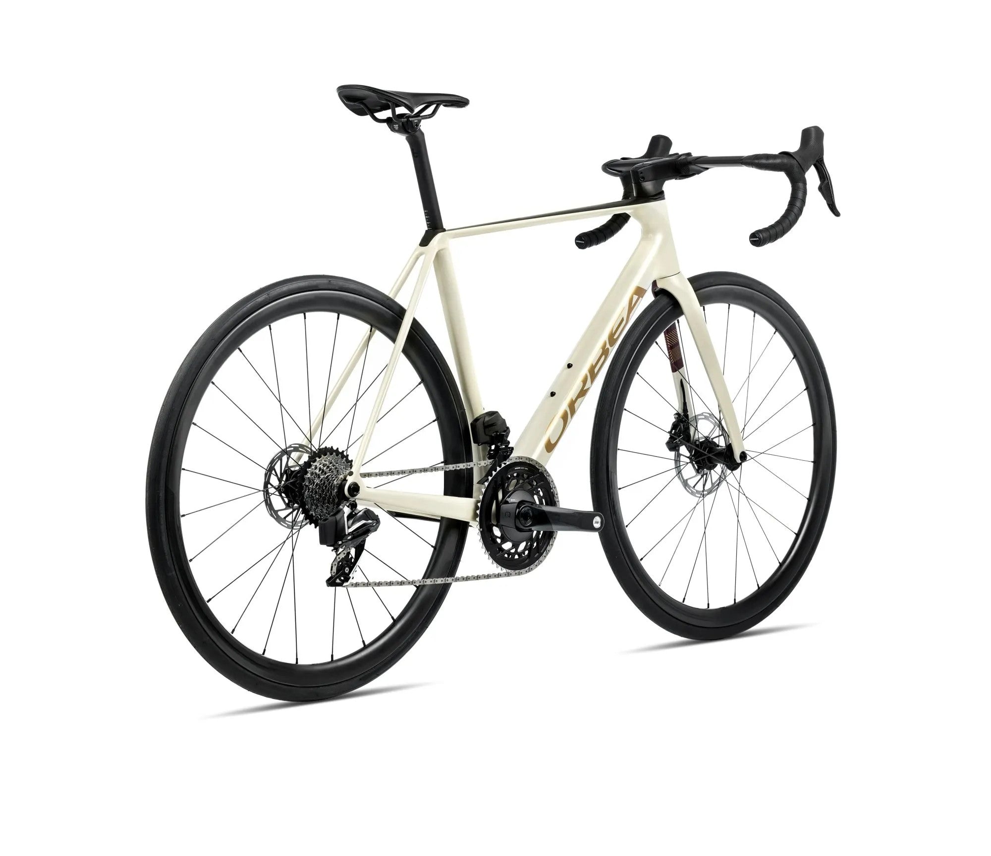 S115TTCC-AJ-BACK-ORCA_M21eTEAM_PWR