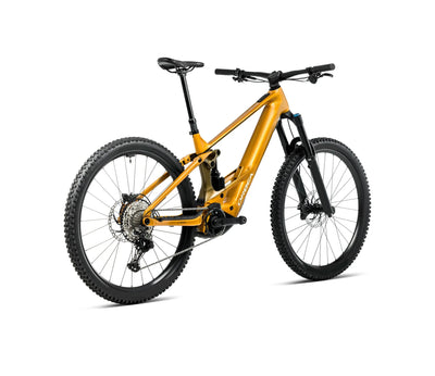 T343TTCC-SM-BACK-WILD_H10