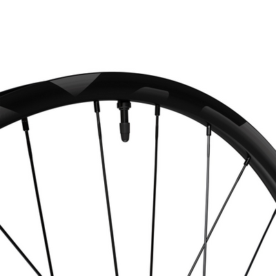 Rueda Trasera Shimano Deore XT WH-M8200-TL-R12-B-29 12v Freno Disco Center Lock Negro #4